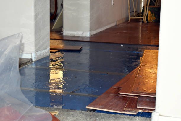 Professional Basement Flood Cleanup technician working in Loxley, AL